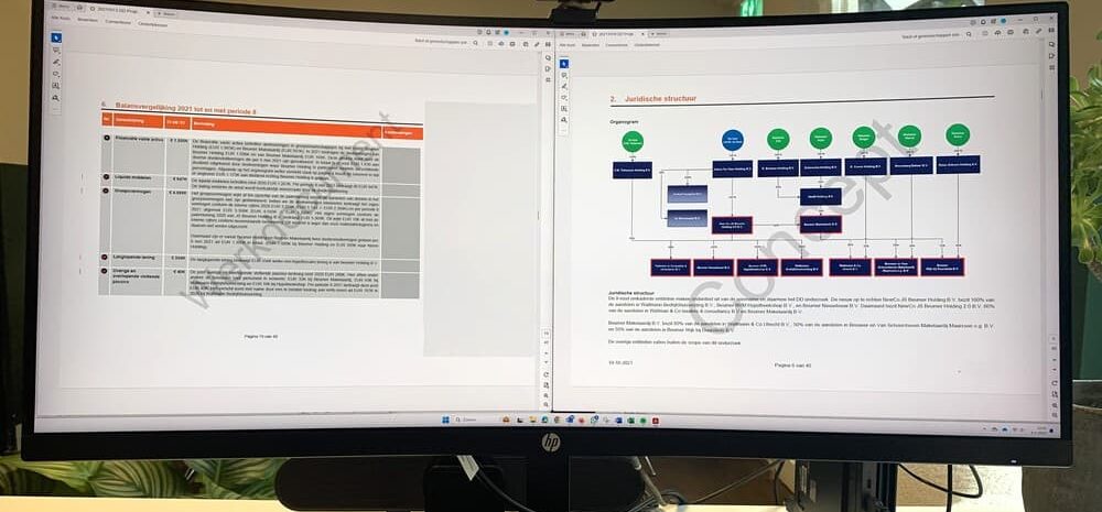 Voorbeeld van een due diligence rapport