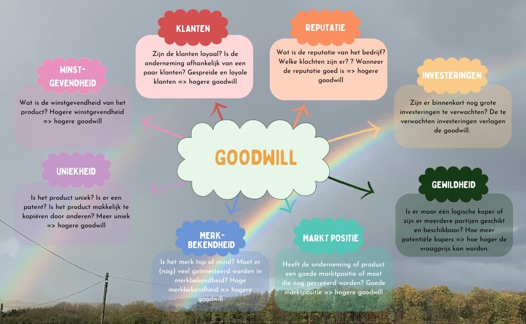 Overzicht van redenen die de hoogte van goodwill kunnen bepalen zoals winstgevenheid, merkbekendheid, uniekheid, klanten, reputatie, investeringen, gewildheid en marktpositie.